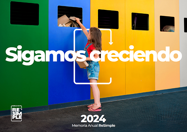 Memoria Anual ReSimple 2024