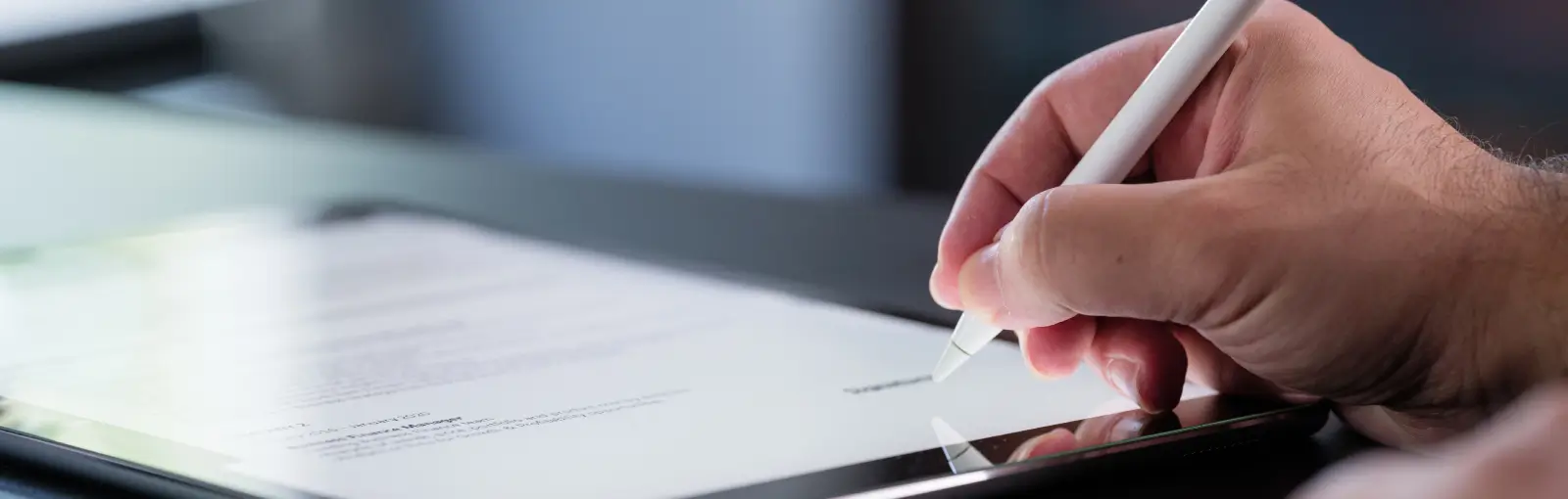 Términos y Condiciones